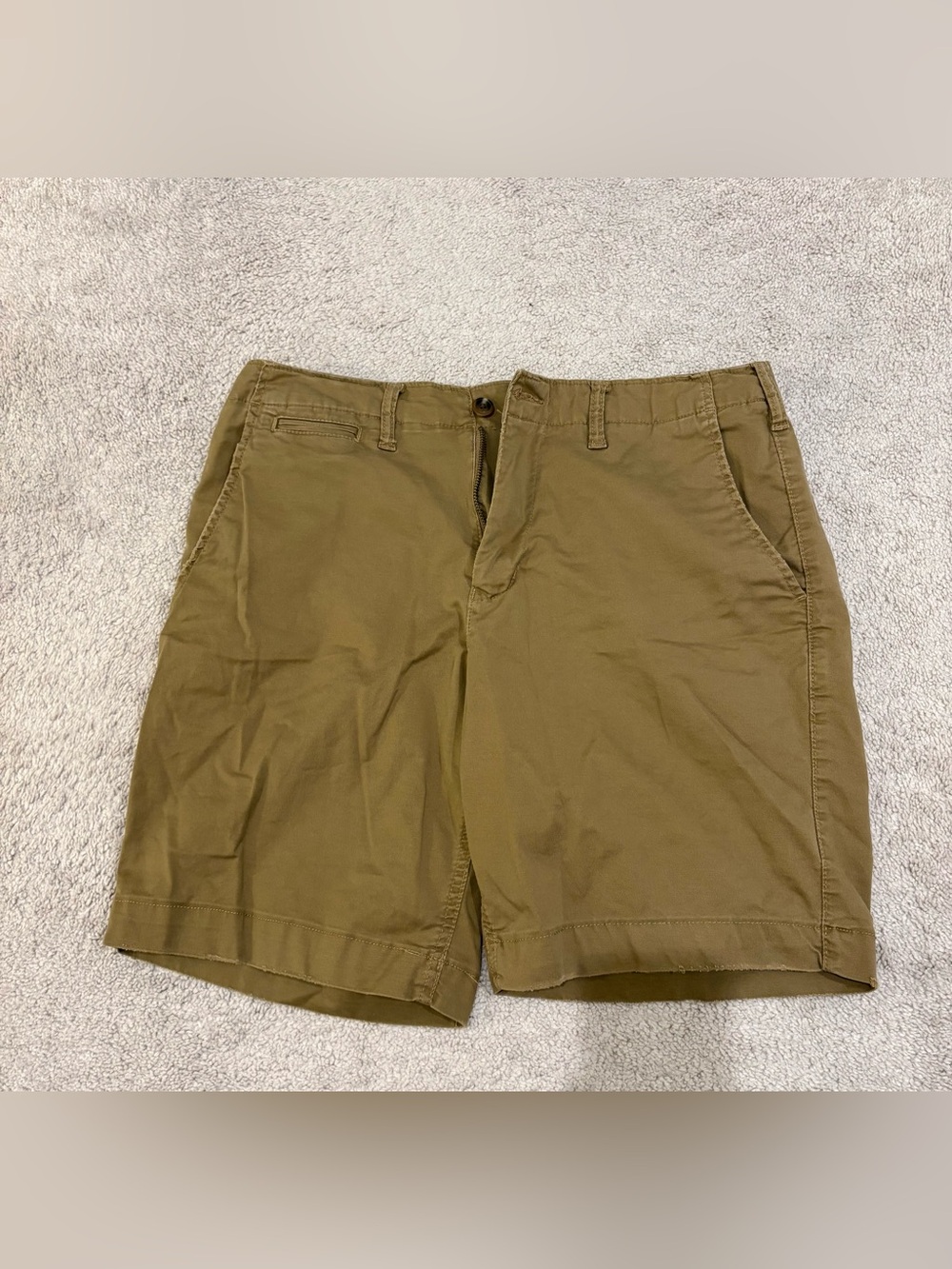American Eagle Outfitters Size 33 Brown Flat Front Shorts